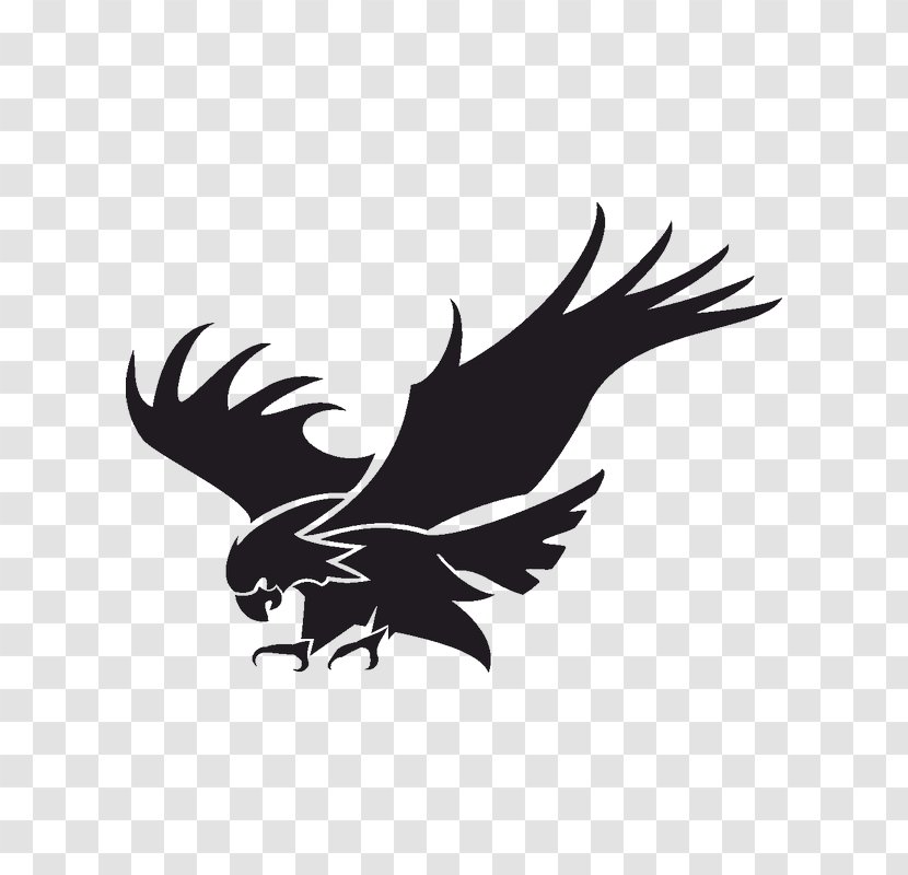 Bald Eagle - Golden Transparent PNG