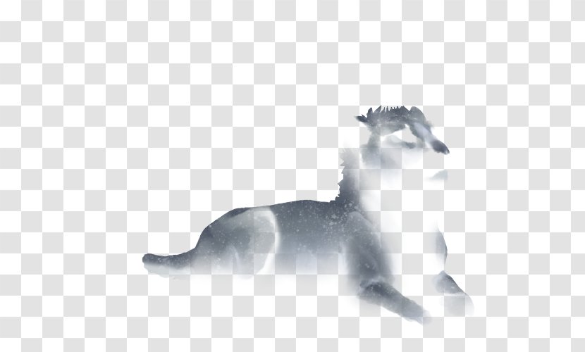 Cat Mammal Lion Carnivora Dog - Snout - Mid-cover Transparent PNG