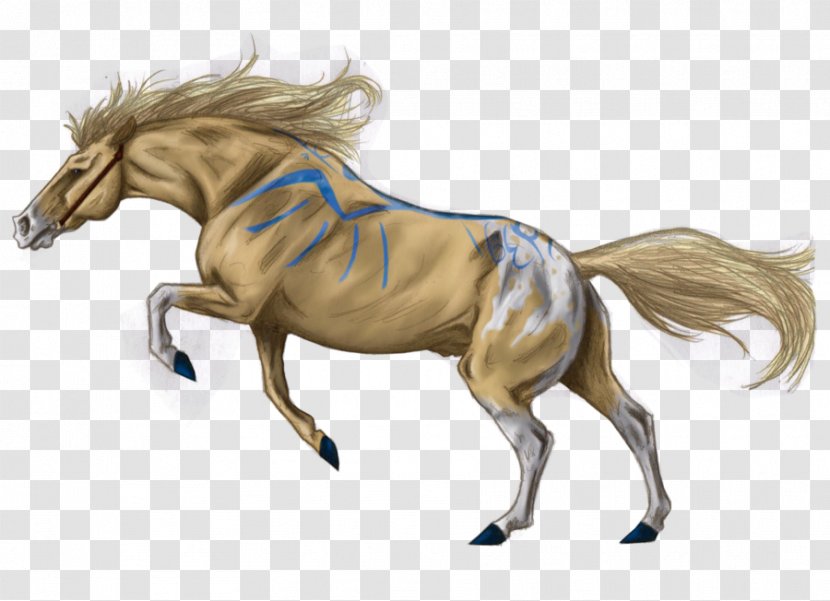 Mane Foal Pony Stallion Mustang - Colt Transparent PNG