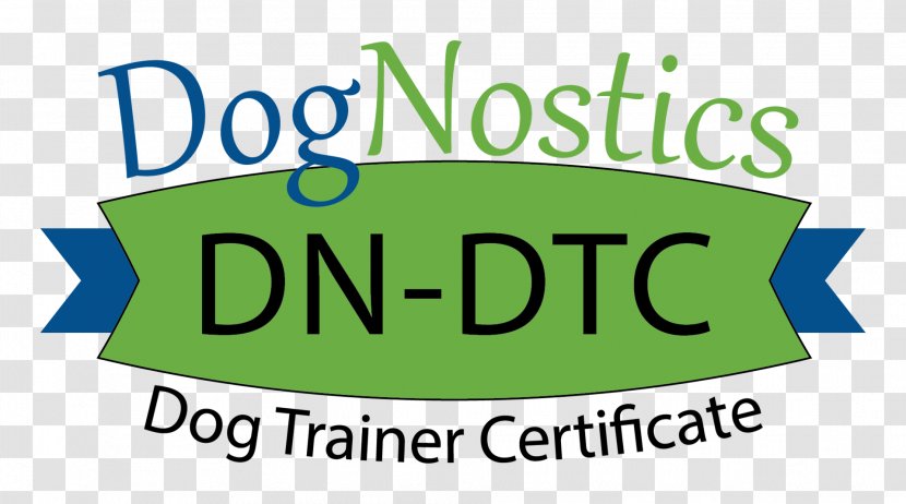 National Exam Education Dog Student Diploma Transparent PNG