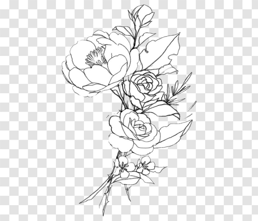 Drawing Line Art Illustration Image Photography - Coloring Book - Flowervector Cartoon Transparent PNG