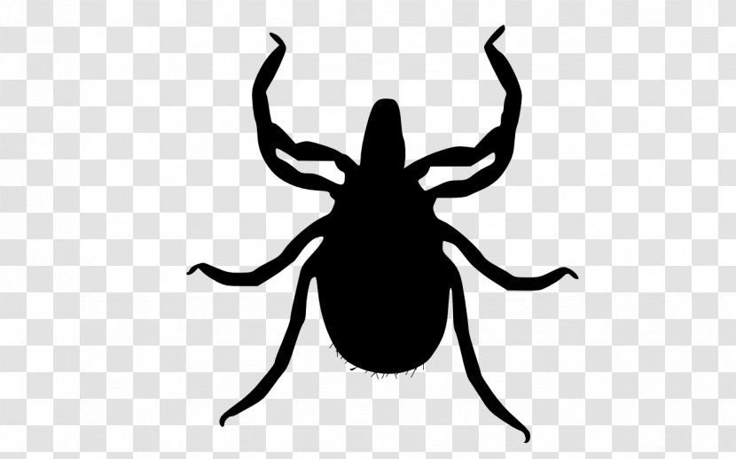 Tick Transstadial Transmission Fly Insect Pest Control Transparent PNG