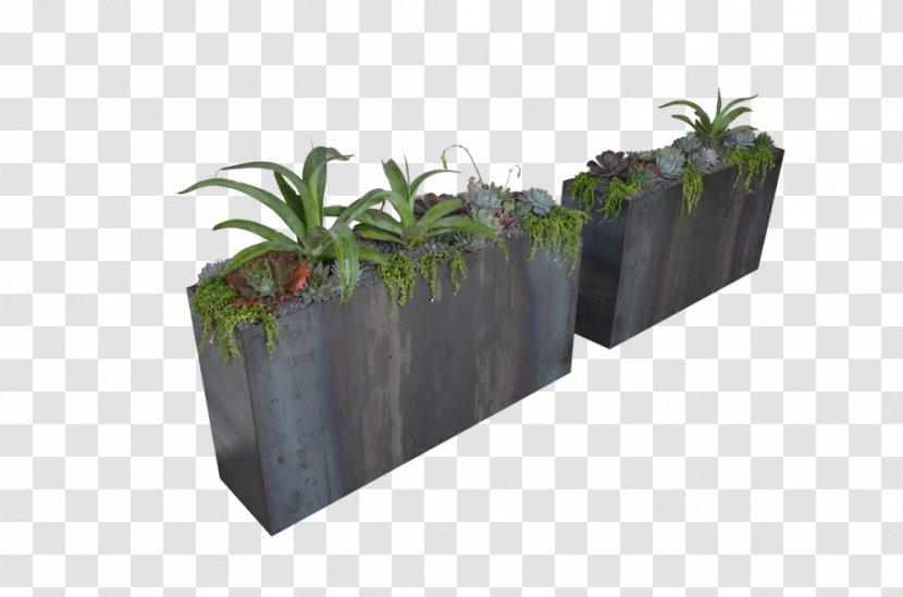 Flowerpot Plant Tree Tatami Industry - Fashion - Flower Box Transparent PNG