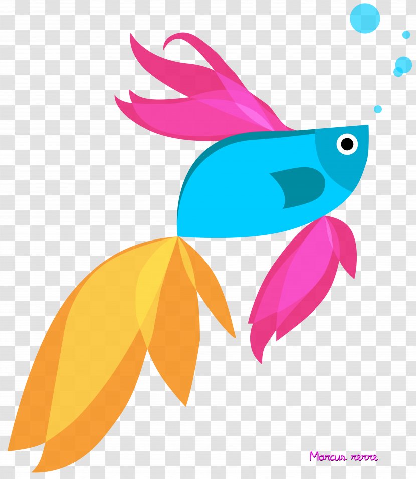 Siamese Fighting Fish Windows 8.1 - Aquarium - Betta Transparent PNG