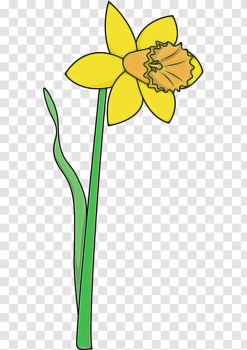 Yellow Flower Plant Stem Plant Narcissus Transparent PNG