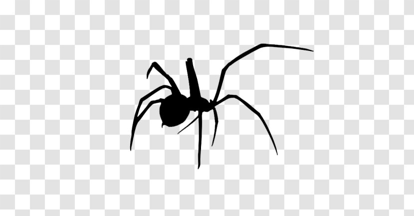Redback Spider Latrodectus Hesperus Southern Black Widow Ant - Monochrome Transparent PNG