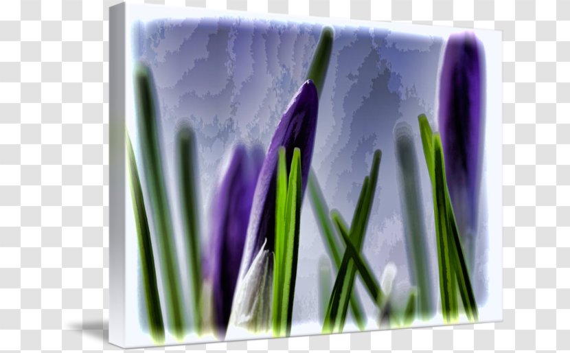 Flower Desktop Wallpaper Computer Transparent PNG