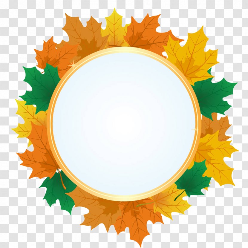 Maple Leaf Royalty-free Illustration - Orange - Circle Box Transparent PNG