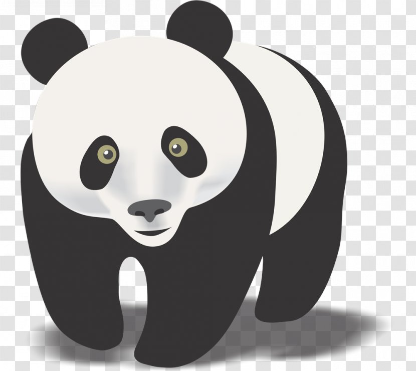 Giant Panda Red Bear Clip Art - Baby Cliparts Transparent PNG
