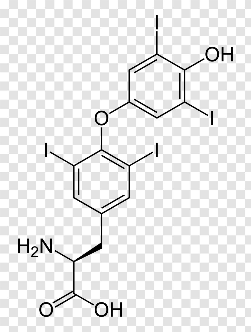 Levothyroxine Thyroid Hormones - Area - I.O.I Transparent PNG