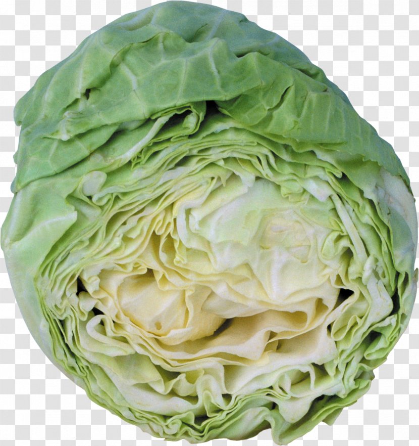 Romaine Lettuce Savoy Cabbage Cruciferous Vegetables Collard Greens Spring - Rapini - Cauliflower Transparent PNG