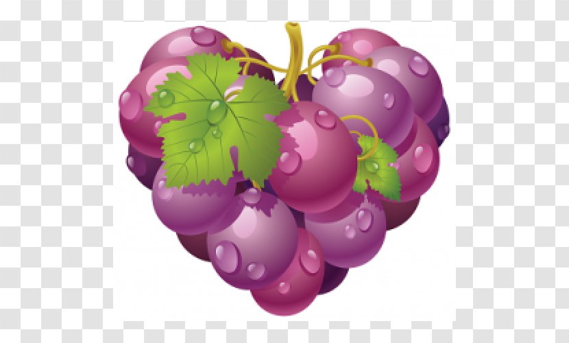 Common Grape Vine Vector Graphics Clip Art Image - Magenta Transparent PNG