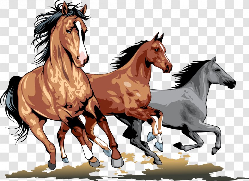 Wild Horse Clip Art - Pony Transparent PNG