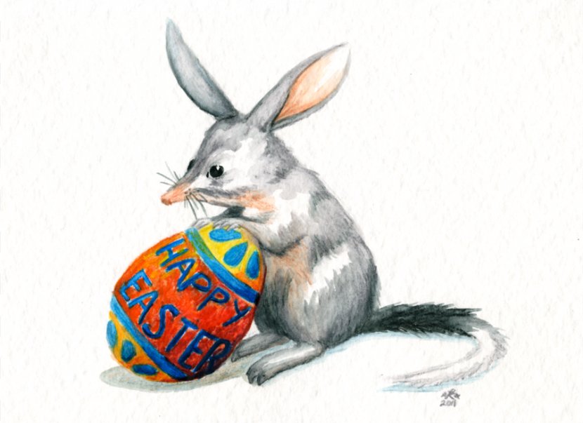 Easter Bunny Australia Bilby Greater An Aussie - Holiday - Rabbits Pictures Transparent PNG