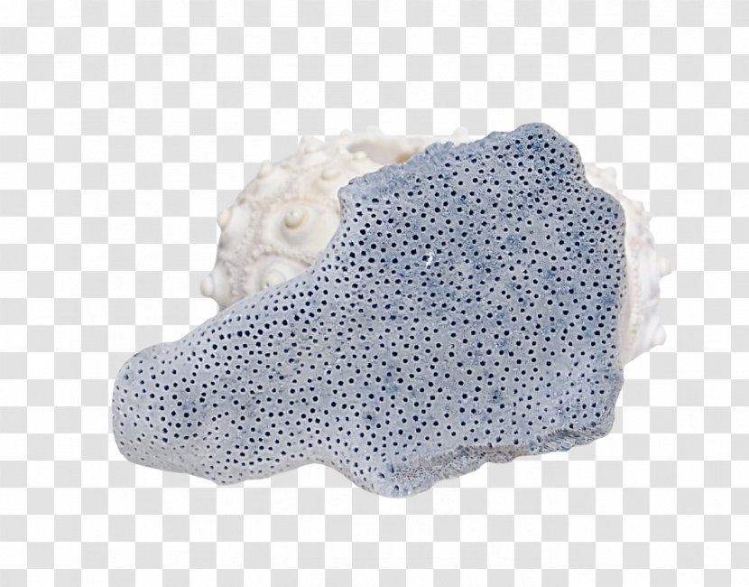 Polka Dot Shoe - Slate Conch Transparent PNG