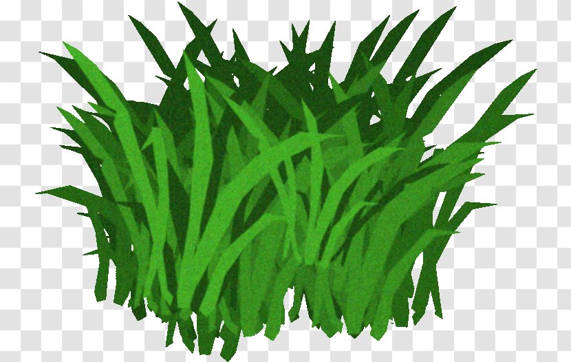 Fucus Serratus Seaweed Kelp Clip Art - Aquatic Plants Transparent PNG