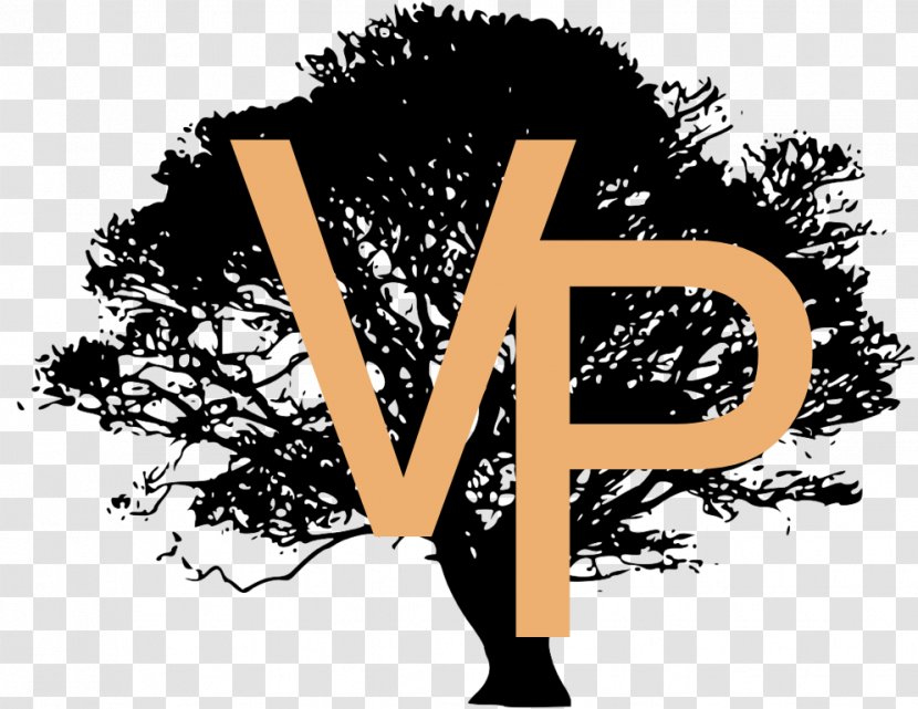 Swamp Spanish Oak Tree Silhouette Clip Art Transparent PNG