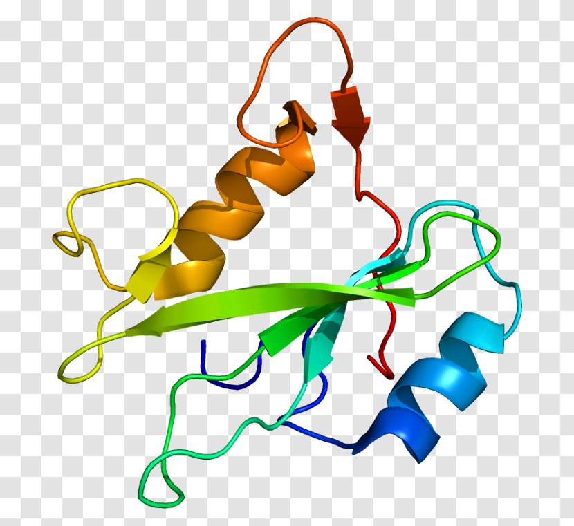 PIK3R3 Retinoblastoma Protein Phosphoinositide 3-kinase IRS1 - Frame - Cartoon Transparent PNG