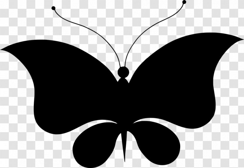 Brush-footed Butterflies Butterfly Insect Silhouette Clip Art - Photography Transparent PNG