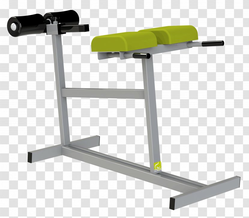 Weight Training Sport Physical Fitness Machine Lumbar Vertebrae - Exercise Equipment Transparent PNG