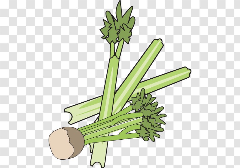 Greens Grasses Clip Art Flower Plant Stem - Food - Celery Transparent PNG