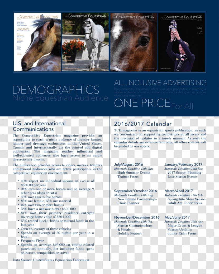 Dog Advertising Brochure Transparent PNG