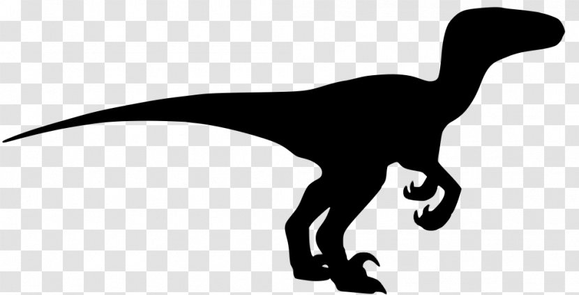 Velociraptor Image Silhouette Dinosaur Clip Art - Redbubble - Tyrannosaurus Transparent PNG