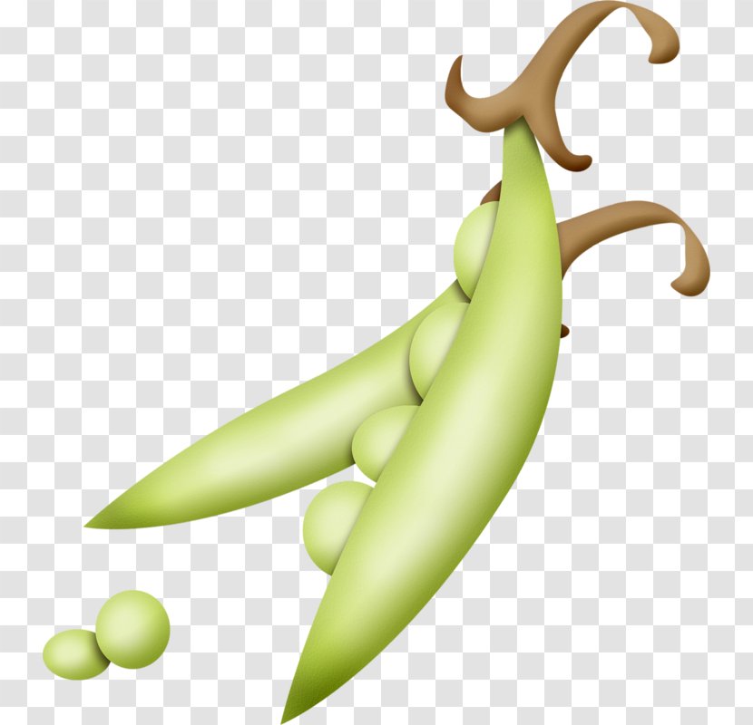 Pea Soup Vegetable Green Bean - Banana Family - Hand-painted Transparent PNG