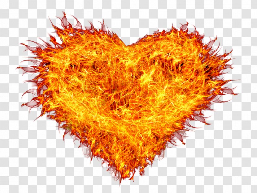 Fire Flame Combustion - Light - Heart Transparent PNG