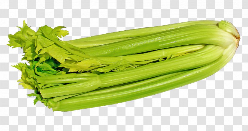 Celery Raw Foodism Vegetarian Cuisine Romaine Lettuce - Food - Green Transparent PNG