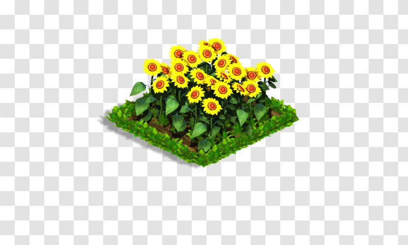Flowerpot Annual Plant Herbaceous - Sunflowers Transparent PNG