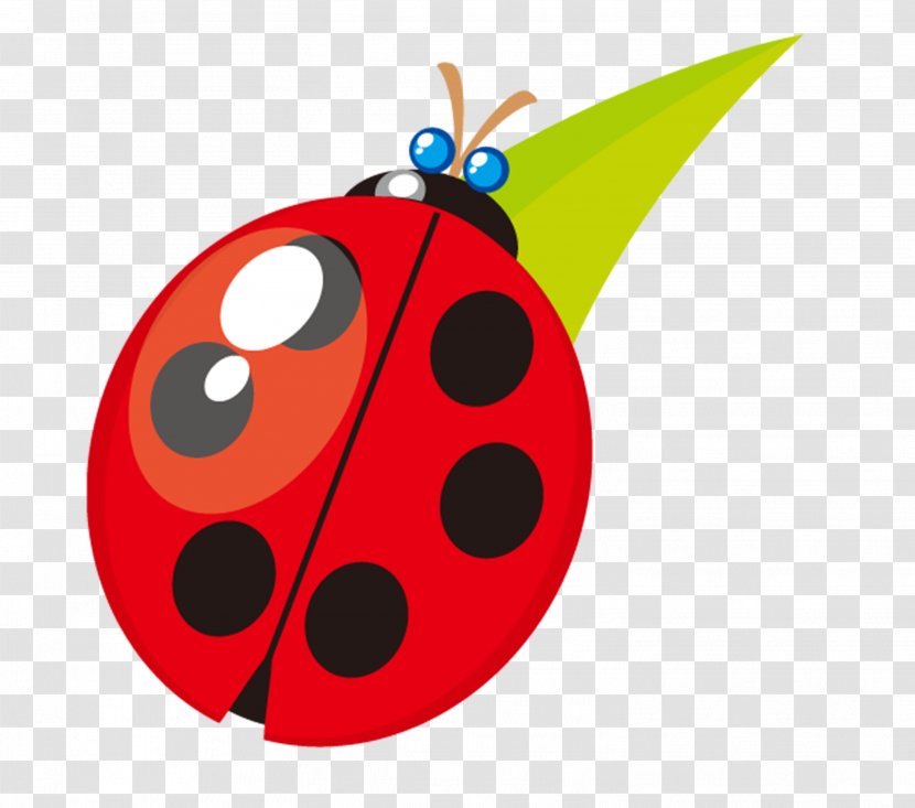 Ladybird Coccinella Septempunctata - Cartoon - Ladybug Transparent PNG