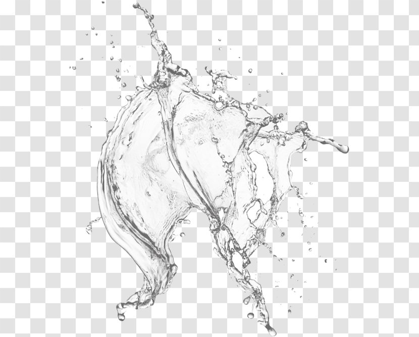 Dog Drop Black And White - Frame - Pure Crystal Drops Transparent PNG