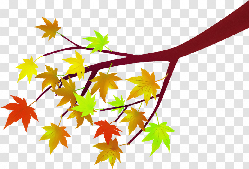 Maple Leaves Autumnal Leaves Fallen Leaves Transparent PNG