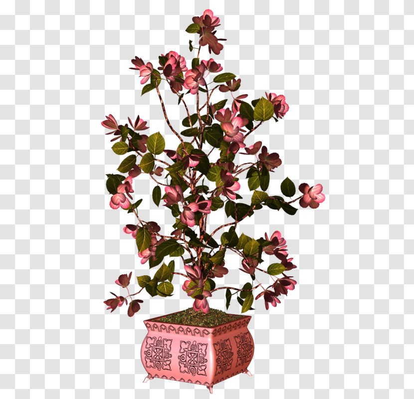 Flowerpot Plant - Tree Transparent PNG