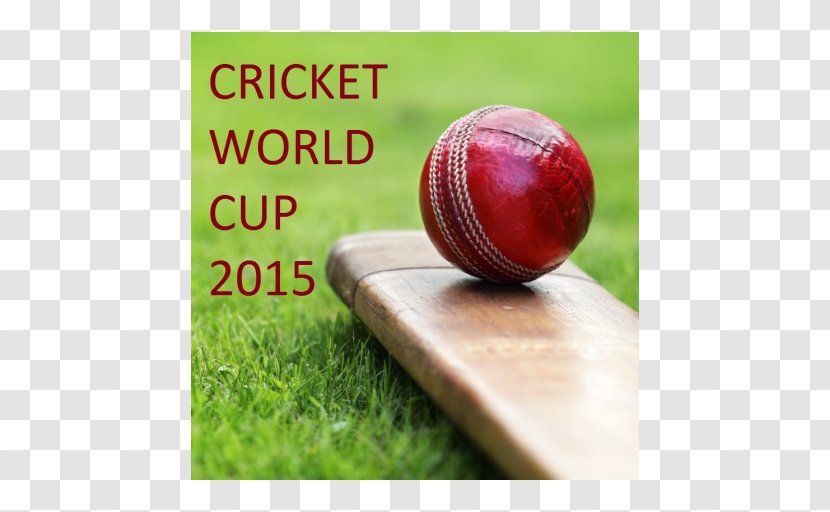 2015 Cricket World Cup India National Team ICC Champions Trophy Sport Transparent PNG