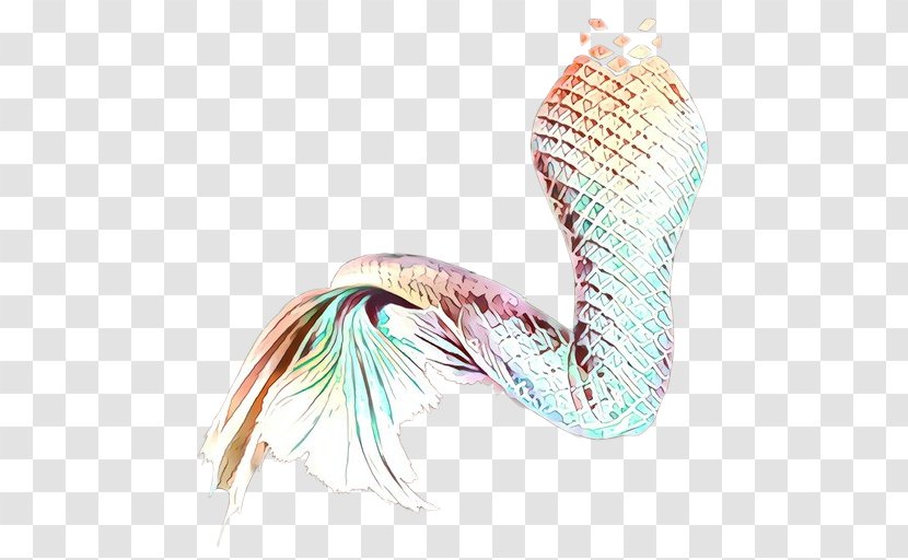 Feather - Wing - Tail Transparent PNG