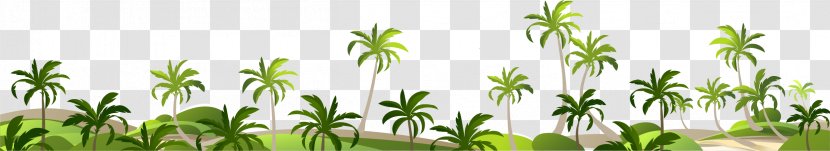 Adobe Illustrator Coconut - Plant - Seaside Tree Decoration Borders Transparent PNG