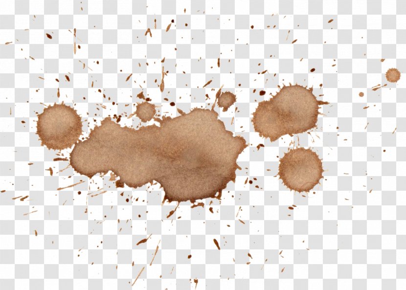 Coffee - Stains Splatter - Powder Transparent PNG