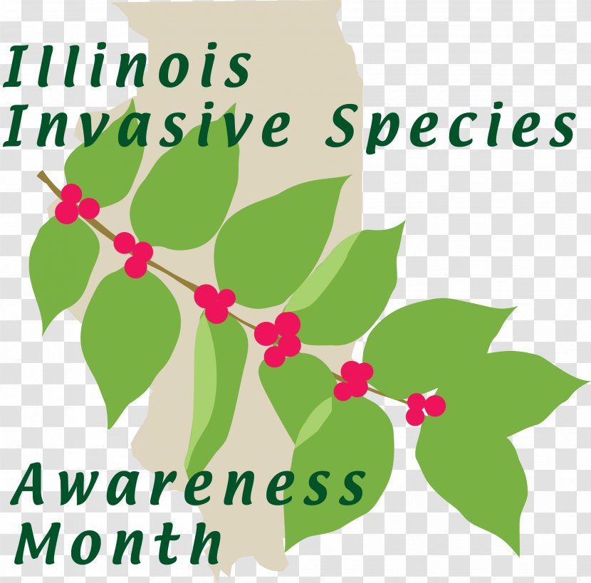 Illinois Invasive Species Amur Honeysuckle Shrub Plants - Kudzu - Types Of Bees Transparent PNG