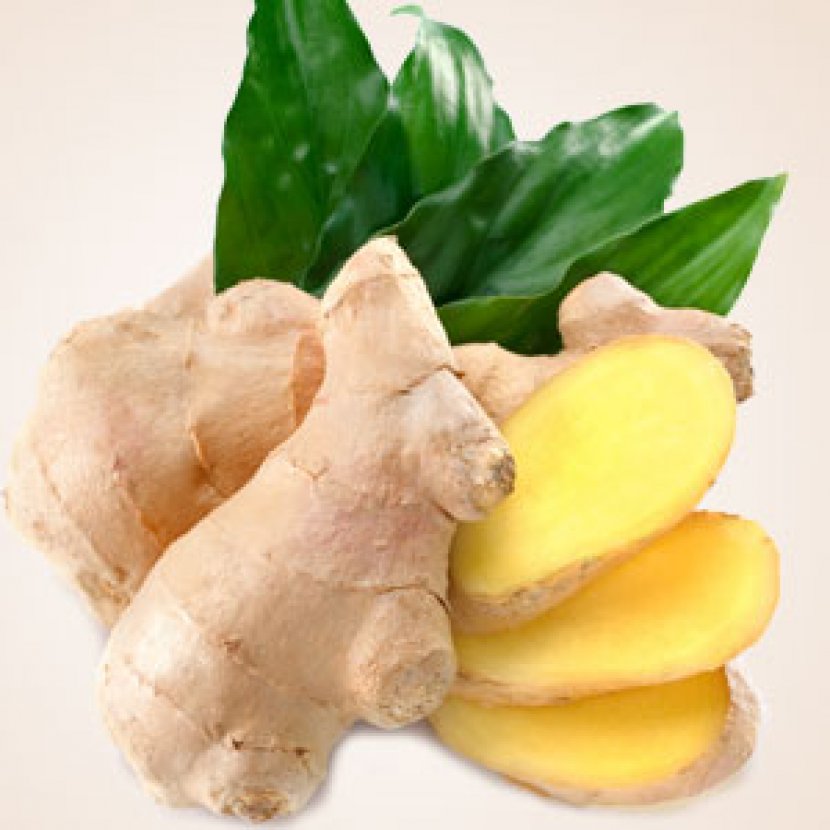 Ginger Tea Nutrient DoTerra - Coriander Transparent PNG
