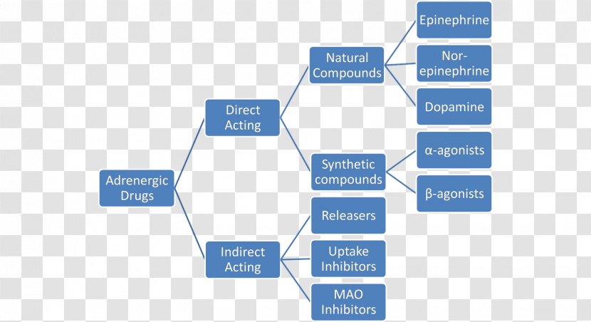 Pharmaceutical Drug Adrenergic Agonist Receptor Antagonist - Area - Cholinergic Transparent PNG