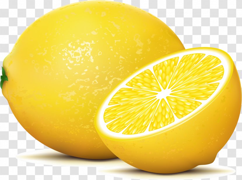 Juice Lemonade Fruit - Grapefruit - Vector Lemon Transparent PNG