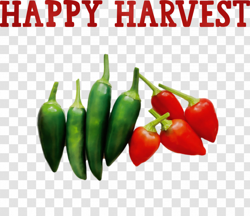 Habanero Cayenne Pepper Serrano Pepper Chili Pepper Natural Food Transparent PNG