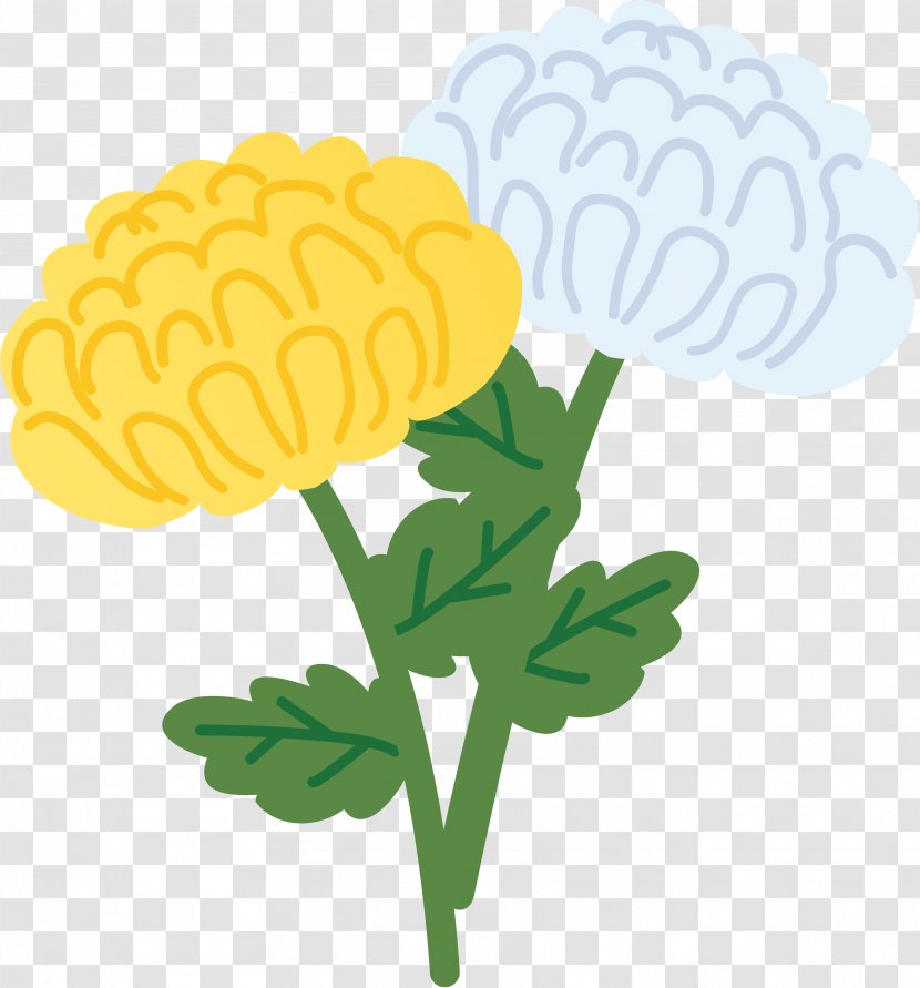 Higan Chrysanthemum ×grandiflorum 法要 Flower 年忌 - Puja Transparent PNG