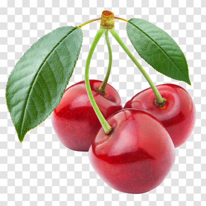 Fruit Canvas Print Cherries Art - Printing - 樱花 Transparent PNG