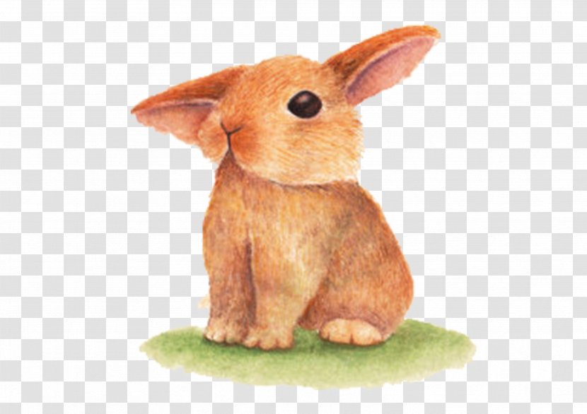 Domestic Rabbit Easter Bunny - Hand Painted Transparent PNG