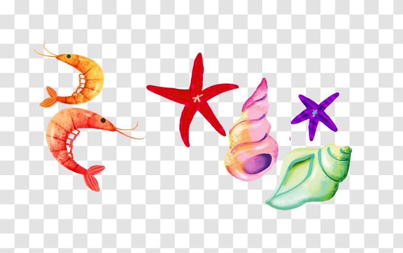 Starfish Graphic Design Seafood - Organism - Cartoon Transparent PNG