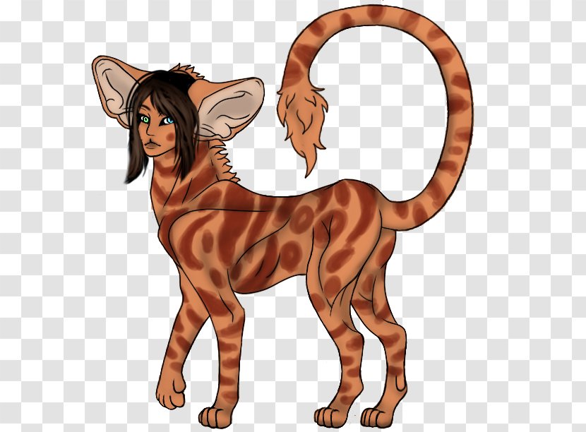 Cat Tiger Mammal Dog Horse - Paw Transparent PNG