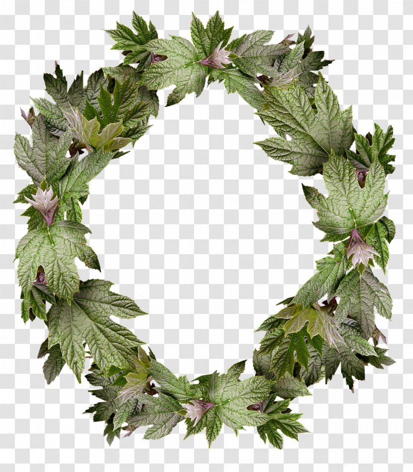 Wreath Picture Frames Flower Image Floral Design - Leaf Transparent PNG